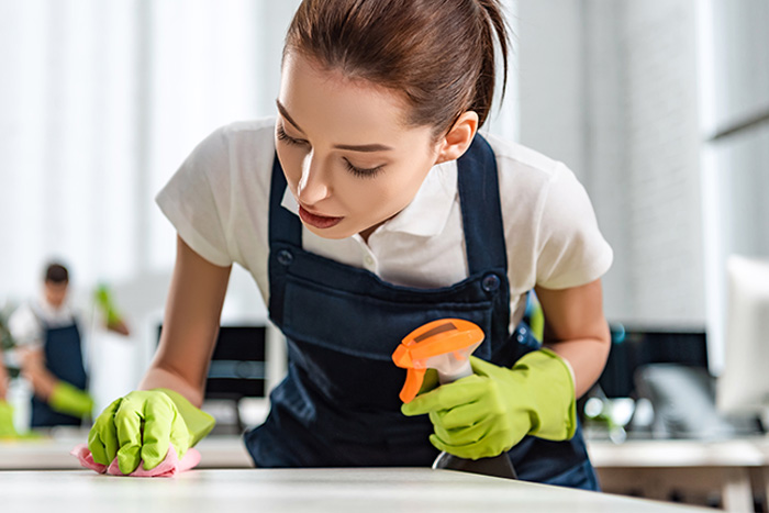 maid detailed cleaning